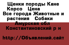 Щенки породы Кане-Корсо › Цена ­ 25 000 - Все города Животные и растения » Собаки   . Амурская обл.,Константиновский р-н